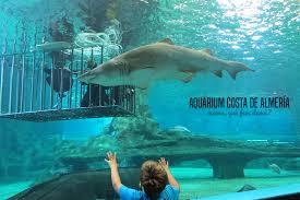 Aquarium Costa De Almería